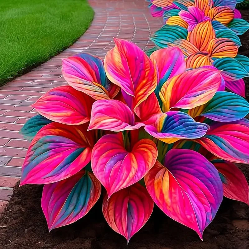 /69c4e17d2aa5e80008ac7137/2026/04/14/product-img-69ddee00f707c0639afa491c.png